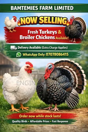 Chicken and Turkey