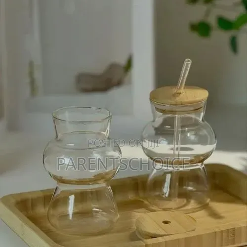 Borosilicate Glass Drinking Glass With Lid and Straw
