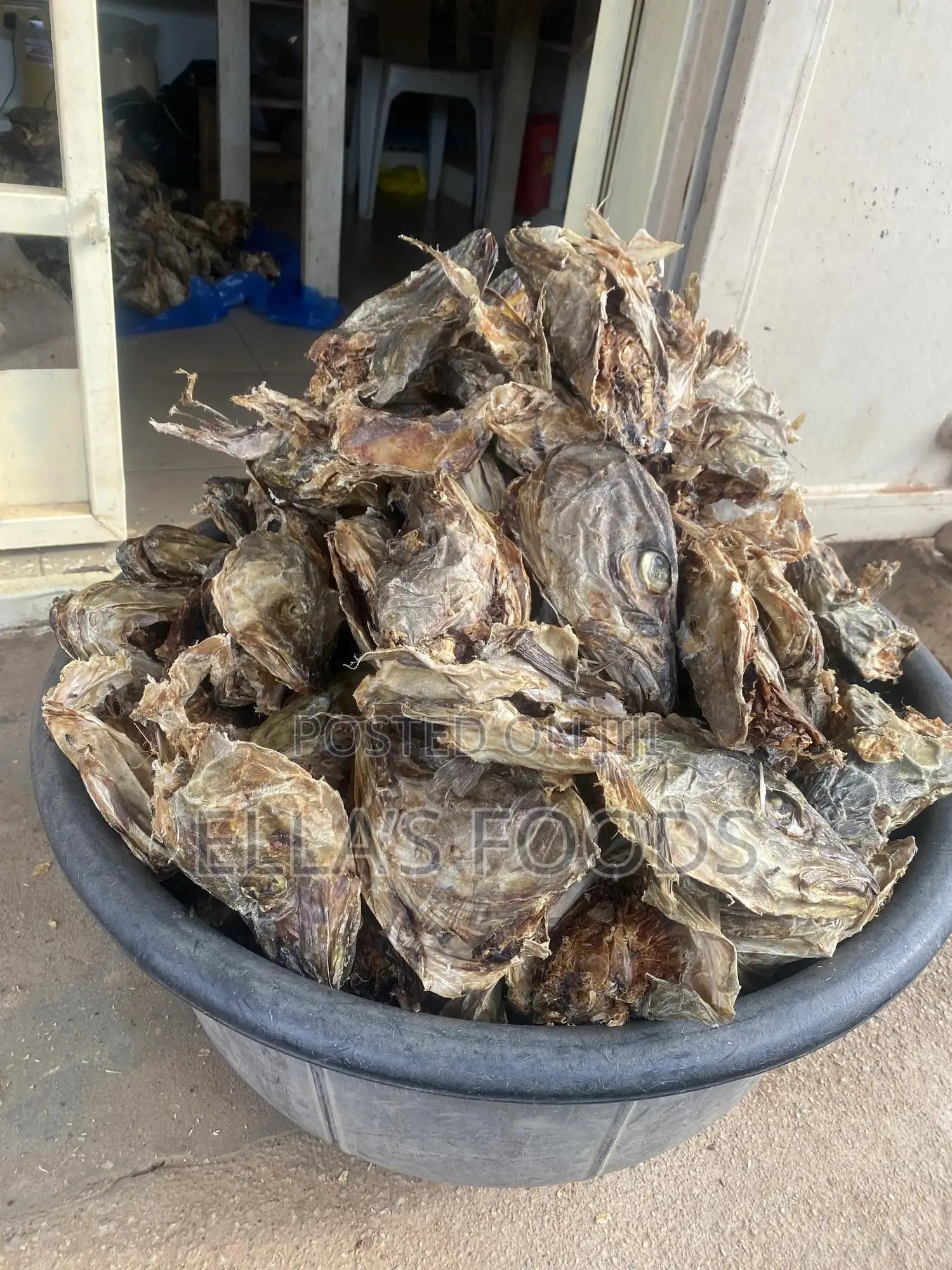 Stockfish Head
