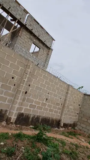High-Security Concertina Razor Wire (Cbt-Bto65