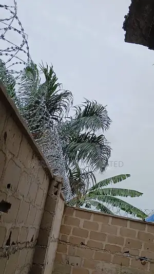 High-Security Concertina Razor Wire (Cbt-Bto65