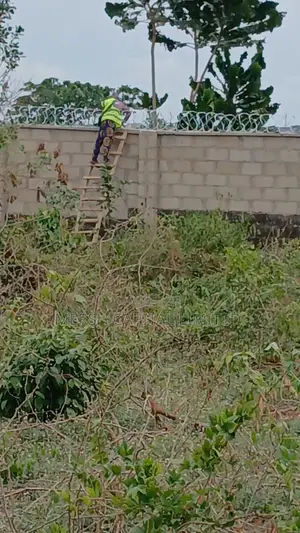 High-Security Concertina Razor Wire (Cbt-Bto65