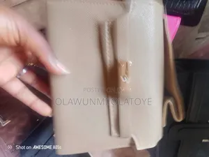 Ladies Bag
