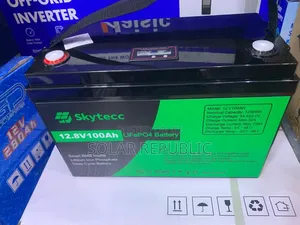 100a Skytecc Lithium Ion Battery