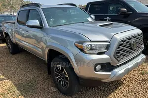 Toyota Tacoma 2020 Gray