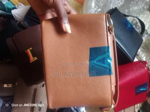 Hand and Shoulder Bag