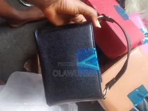 Hand and Shoulder Bag
