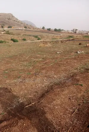 A 10,000sqm (1hectares) of Local Farm Land Available at a Cheaper Rate