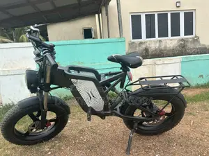Electric Bike