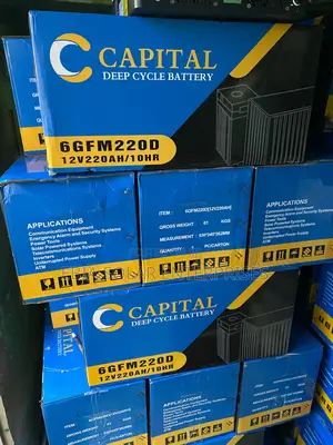 220aj Capital Dey Cell Battery