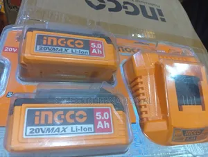 P20s Lithium Ion Battery and Charger Kit