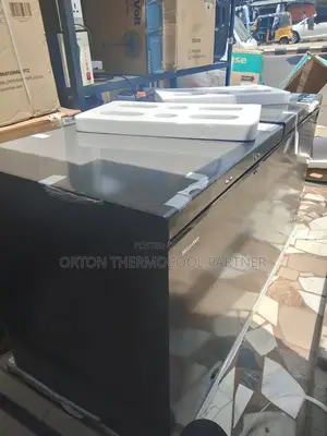 Hisense Double Door Low Voltage Freezer 500l