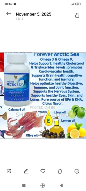Forever Artic Sea