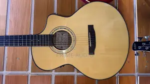 Smiger Semi Acoustic Guitar