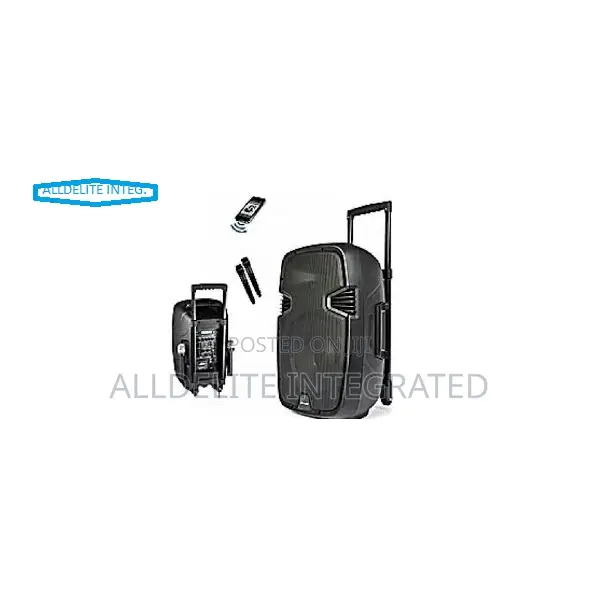 Rechargeable Bluetooth Pa System With Wireless Microphone