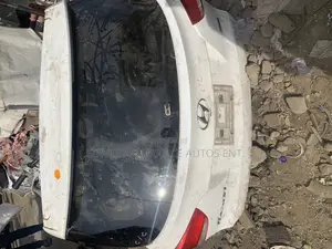 Back Boot Hyundai Santa Fe 2016