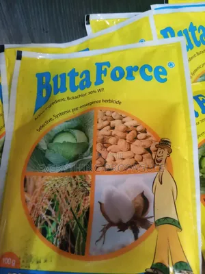Buta Force
