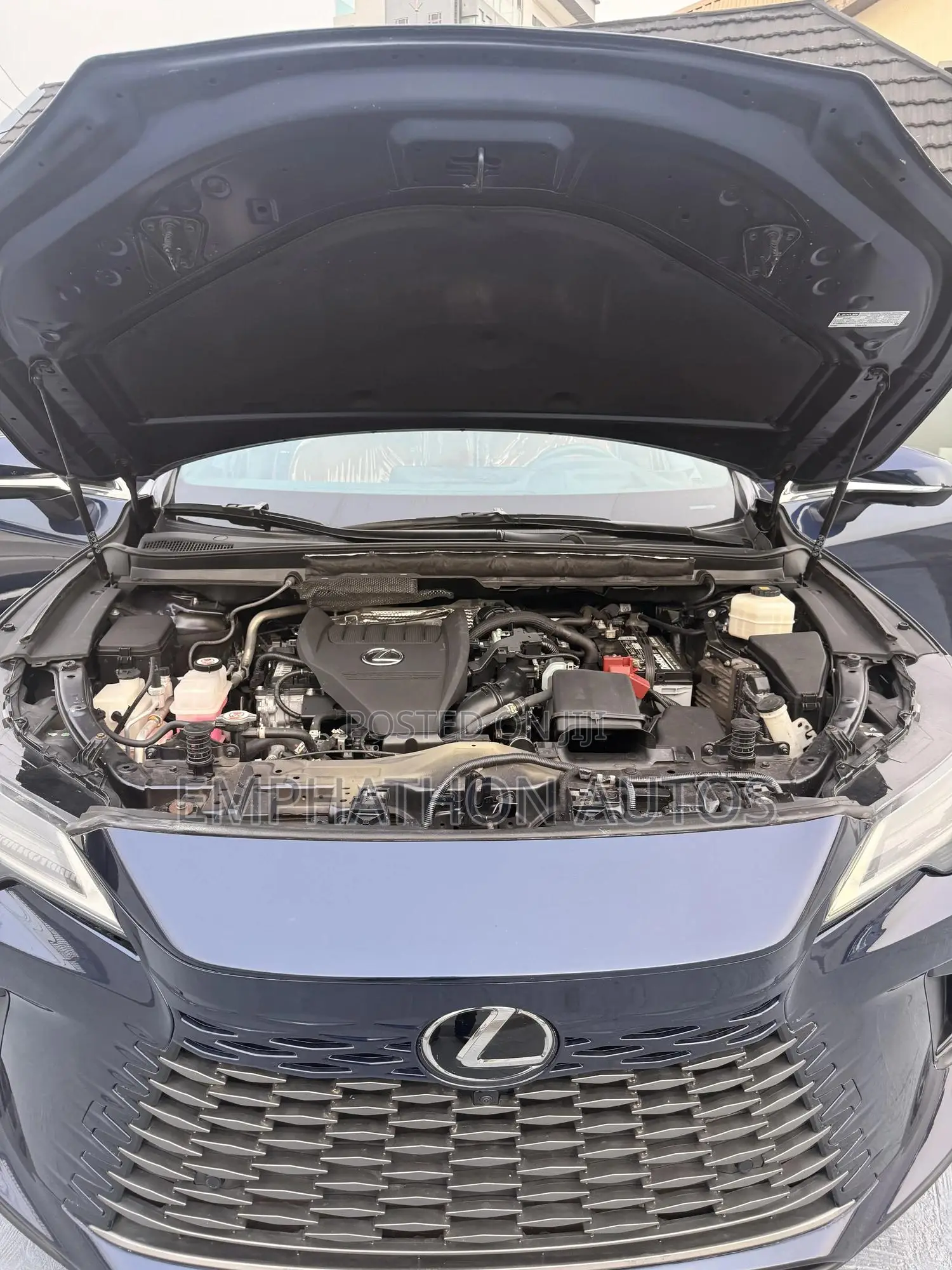 Lexus RX 350 2023 Blue