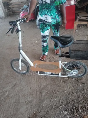 Electric Scooter Bike