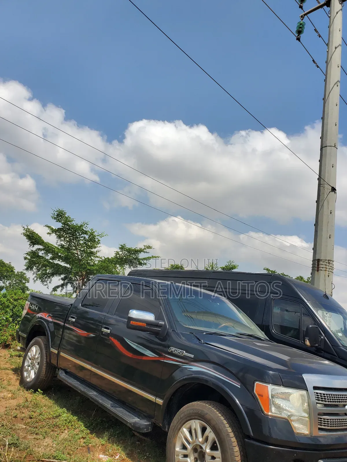 Ford F-150 2011 Blue