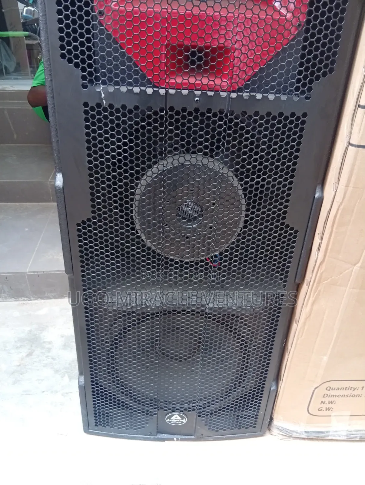 Audio King Double Speaker