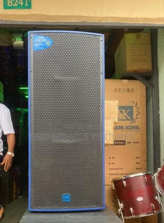 Sam King Speaker