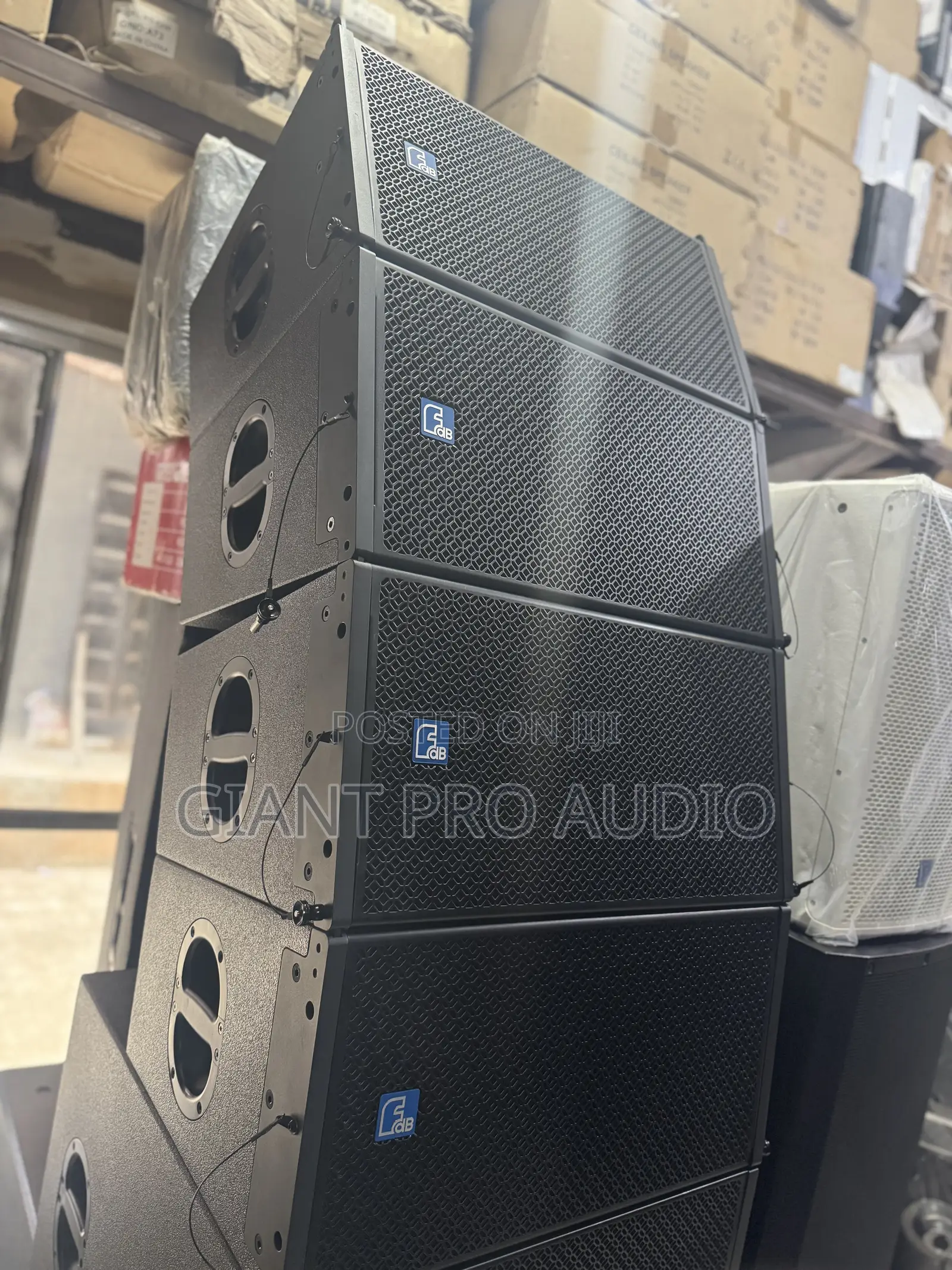 FDB Dla310 10 Inches Two Way Line Array Speakers