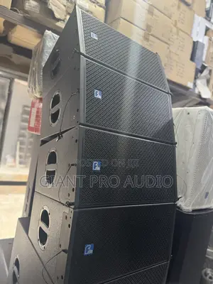 FDB Dla310 10 Inches Two Way Line Array Speakers