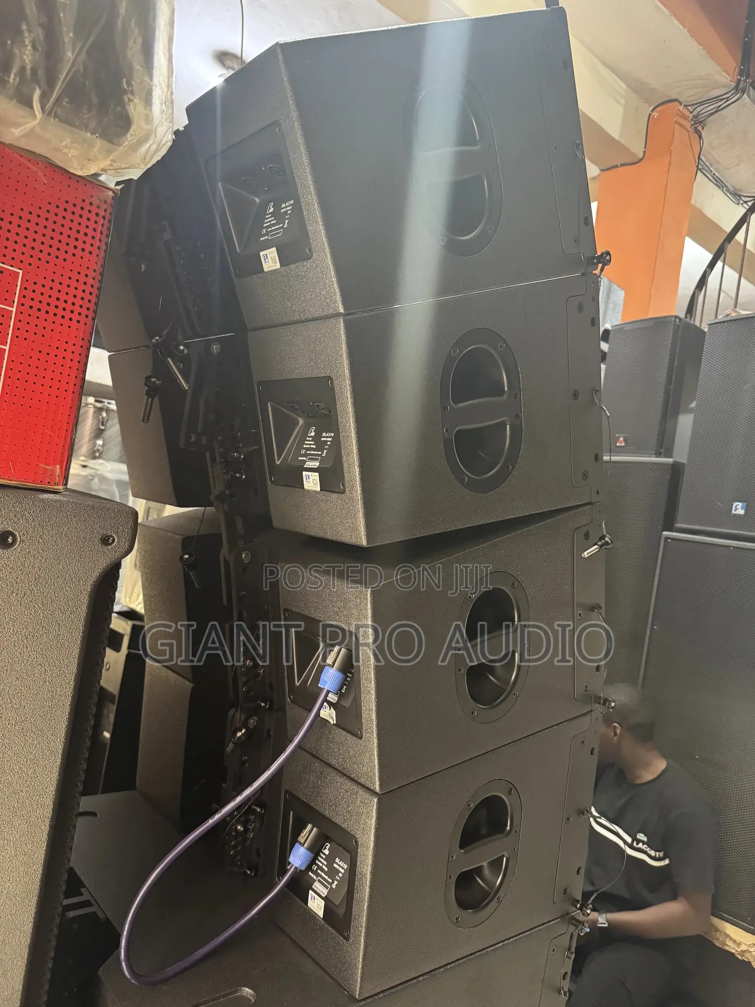 FDB Dla310 10 Inches Two Way Line Array Speakers