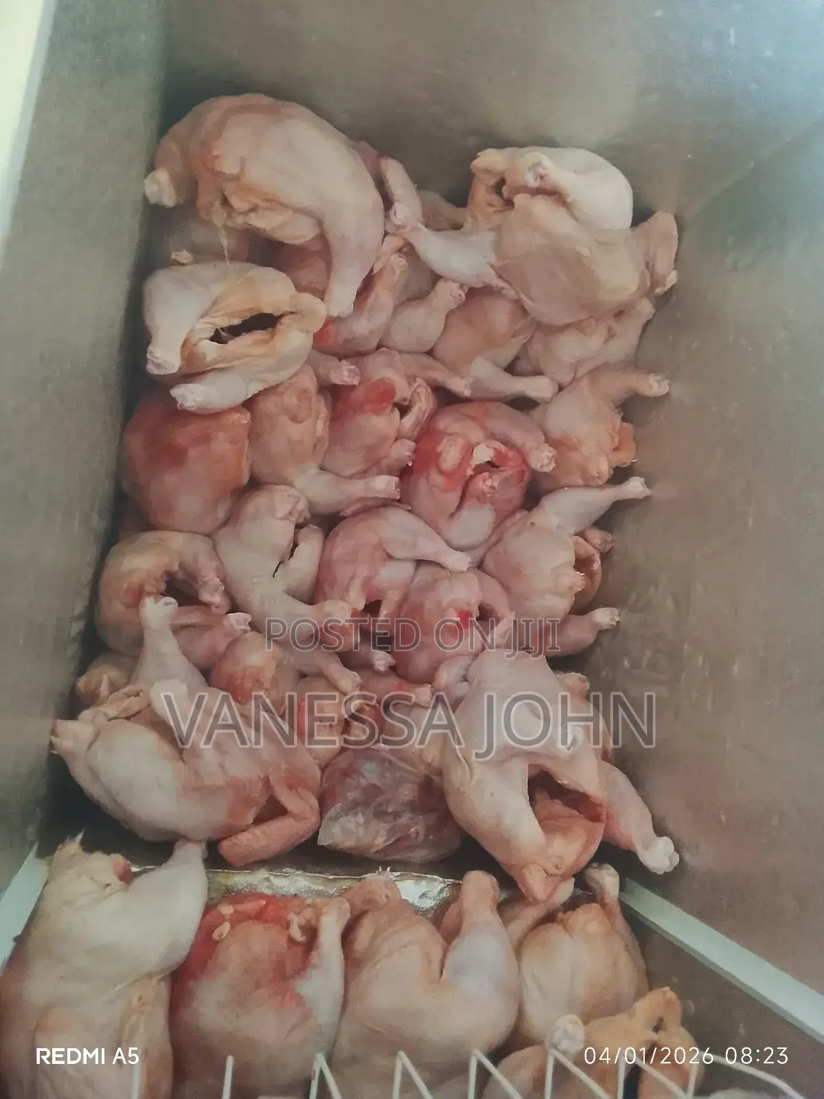 Chicken And Eggs