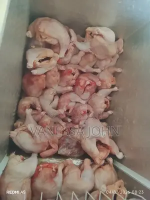 Chicken And Eggs