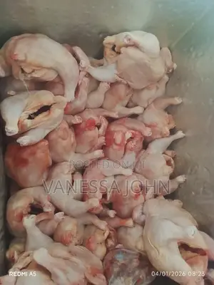 Chicken And Eggs