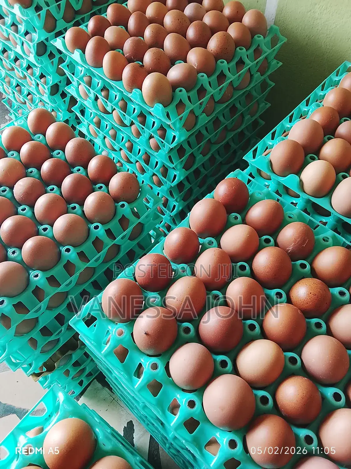 Chicken And Eggs