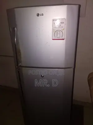 Premium Lg Fridge - (Slightly Negotiable for Serious Buyers)