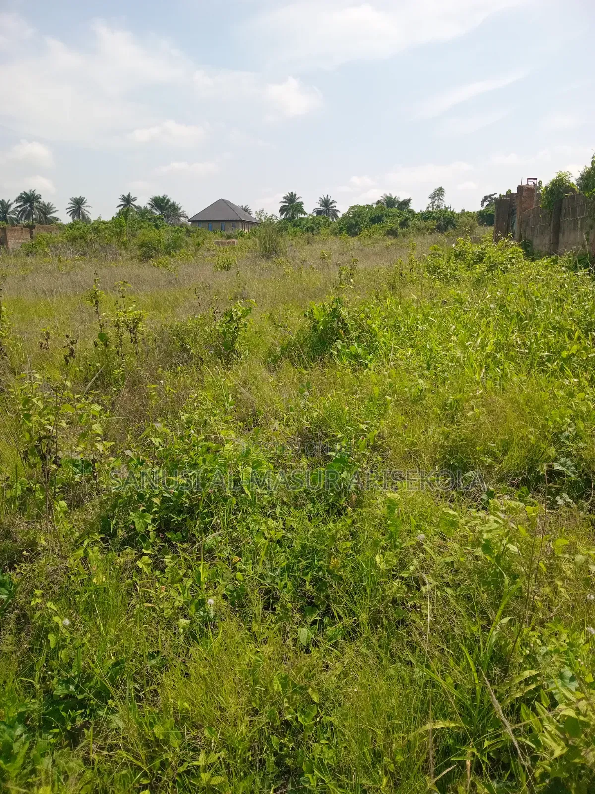 Cheap Housing Land