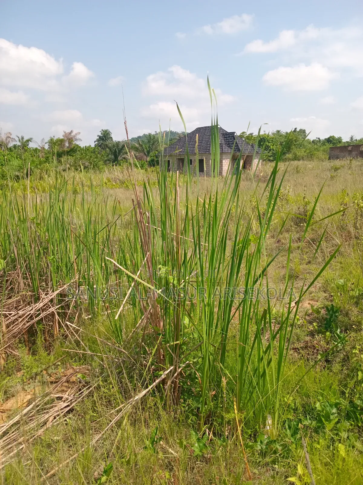 Cheap Housing Land