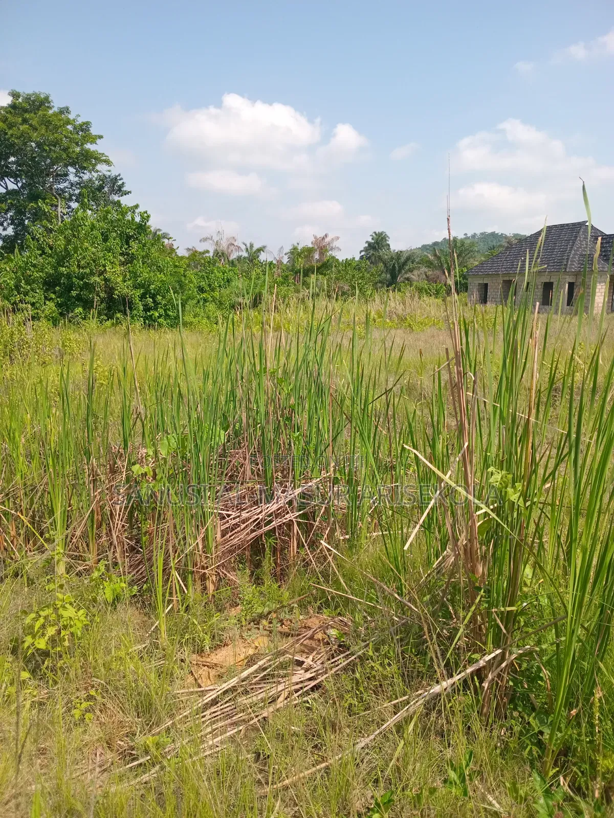 Cheap Housing Land