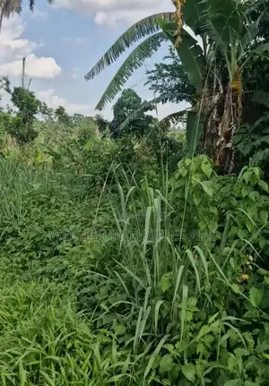 A Plot of Land for Sale