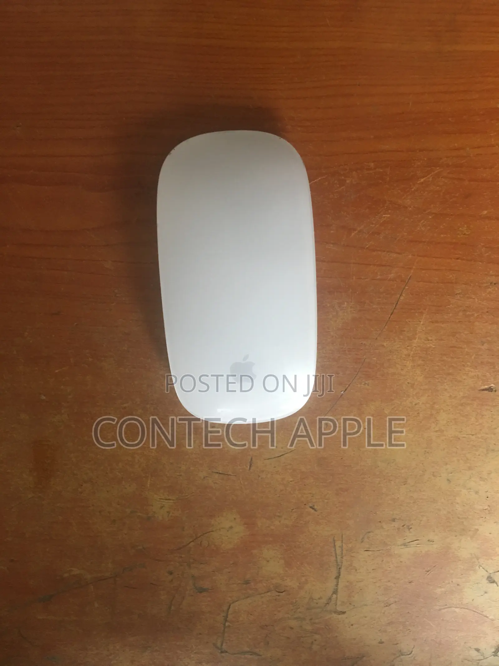 Apple Mouse