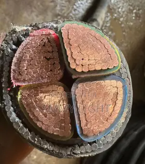 300mm 4core Armored Cable