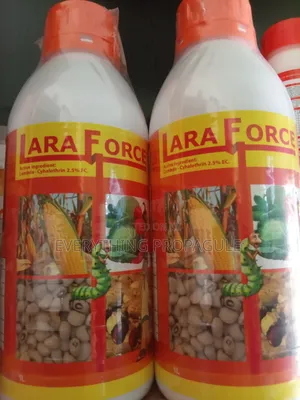 Lara Force