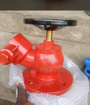 Flanges and Valve