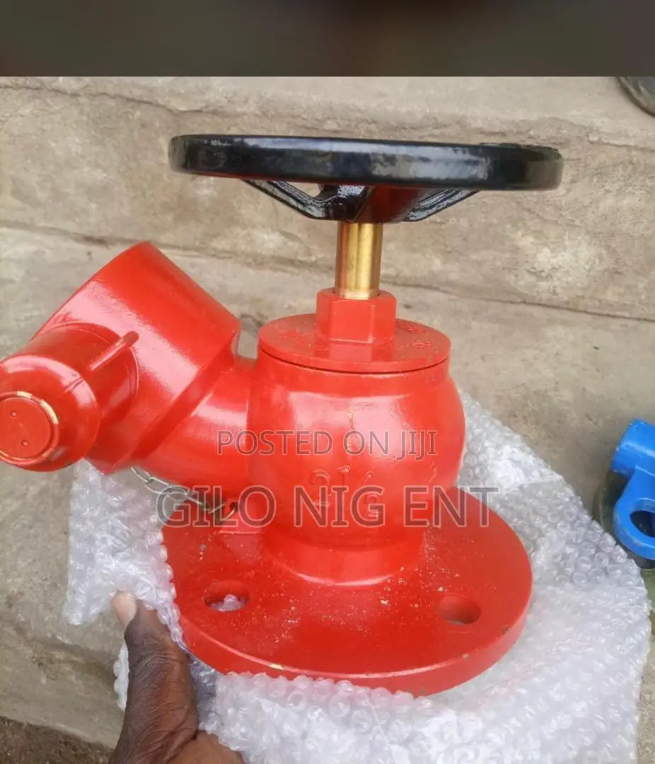 Flanges and Valve