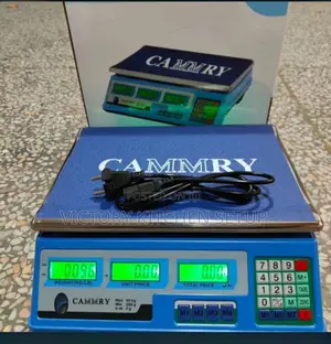 Digital Scale