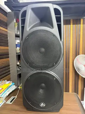 Audioking Public Address System Double 15inches
