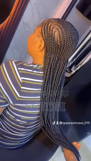 Hairstyle Braids
