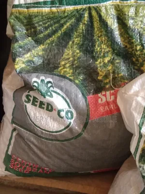 Seed Co Soybean Seed