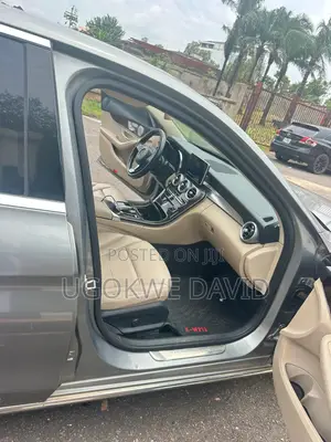 Mercedes-Benz C300 2015 Silver