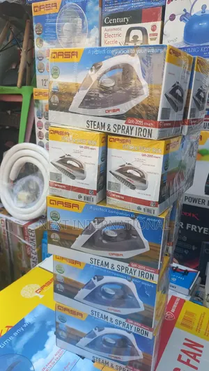 Qasa Steam and Spray Iron