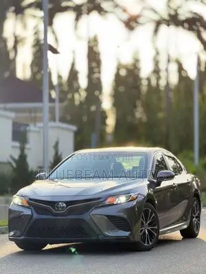 Toyota Camry SE (2.5L 4cyl 8A) 2019 Gray